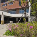 다정신경외과의원 | 하남 그랑파사쥬 짬뽕 맛집 / 오늘은짬뽕 솔직후기 + 토요일 일상