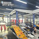 큐스포츠클럽 | 대구 이시아폴리스 키즈카페 챔피언더블랙벨트 이용안내 솔직후기