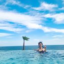 파르나스 호텔 제주 에스츄어리 이미지