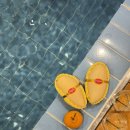 양평산수유펜션 | 수영장이 있는 양평 펜션, 힐링을 위한 그랑아치풀빌라