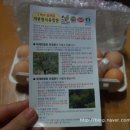 청송백자연구소