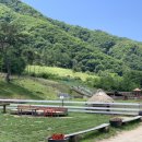 유포리목장 이미지