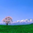 에세레스 이미지