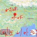 (주)강아유 네이버블로그