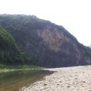 정희농박 이미지