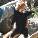 부림4로 이미지