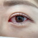 수디자인스튜디오 이미지