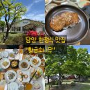소나무집인카페보그너 | [담양 황금소나무]부모님 모시고 가기 좋은 담양 한정식 맛집, 1인 19,000원으로 가성비도 최고!
