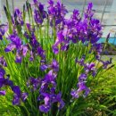 성진한우농장 이미지