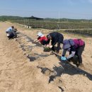 한방농장 이미지