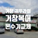 거창복어 이미지