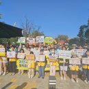 대전신계초교 이미지