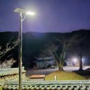 보림사 - 1223 | 보림사