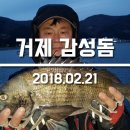 거제진선장 이미지