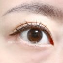 오특 | 올리브영 필리밀리 속눈썹 추천 귀찮아도 포기못하는 아이템! 08 또렷데일리 기획 오특 구매후기