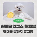 해피슬로우 | 강아지 휴대용밥그릇 국내제작 실리콘연구소 실리킹 해피볼 슬로우식기