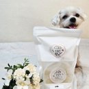 오늘도멍냥 | &#39;오늘도멍냥 &#39; 강아지보양식 추천 강아지 수제간식 후기