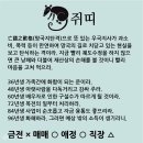 ♧11월 10일 목요일 간추린 아침뉴스♧ 이미지