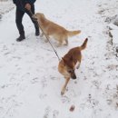 박순호의 아이슬란드 이미지