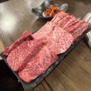 신경주타이어 | 24년 상반기 결산