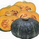 두메농원