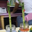 미상지유치원 이미지