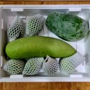 늘푸르름농장 이미지