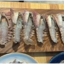 제주삼춘오마카세