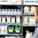 가네마쓰상사
