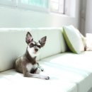 기민농장 이미지