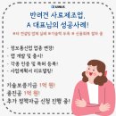 경영 컨설턴트, 정책자금 컨설팅 때문에 찾고있다면 &lt;필독&gt;