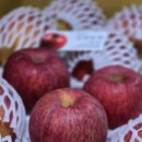 삼정농원 이미지