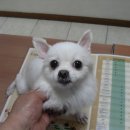 신월동233 이미지