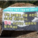 송전길 Daum카페