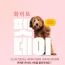 유앤미동물병원 이미지