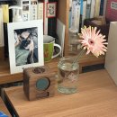 수청포근동물병원 | 고양이장례식장 포포즈 이용후기/반려동물 장례식