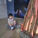 카페상상 | 서울형키즈카페 서울상상나라점 후기(+전시, 물놀이)