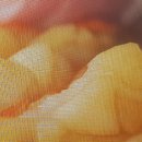 자래리농장 이미지