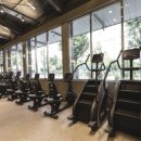 라이브 휘트니스 이미지