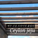 실론제주 이미지