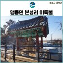 본성리미륵불 이미지