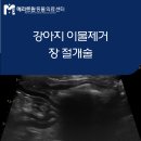 메리트원 동물의료센터 이미지