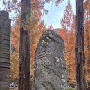 양덕동192 이미지