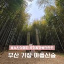 (사)부산시기장군장애인협회 | 부산 여행지 추천 철마 아홉산숲 코스 기장 아이와 가볼만한곳