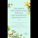 오늘의 &#39;신앙 명언&#39;(113강) 오스 기니스(Os Guinness) 이미지