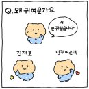 유하기획
