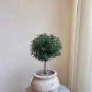 도화한의원 이미지