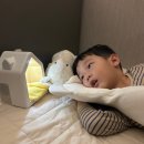 동화세탁 | 코코지 신제품 애착인형 허그아띠 버니의 잠자리동화로 수면교육 성공