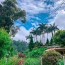 두계 농촌체험 휴양마을 이미지