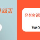 유성숲일등공인중개사사무소 이미지